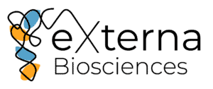 Externa logo